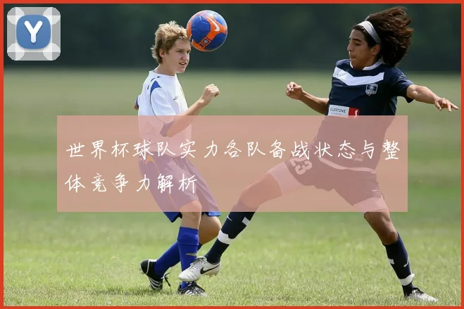 世界杯球队实力各队备战状态与整体竞争力解析