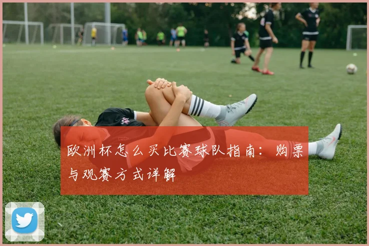 欧洲杯怎么买比赛球队指南：购票与观赛方式详解